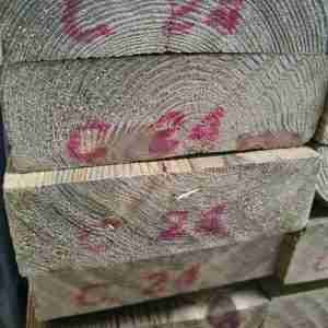 C24 6x2 Tanalised Timber