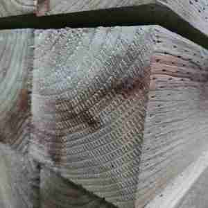 Tanalised 4x4 Incised Posts