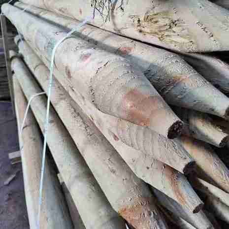 Fence Posts 1.8M Treated Fence Posts 1.8M Treated