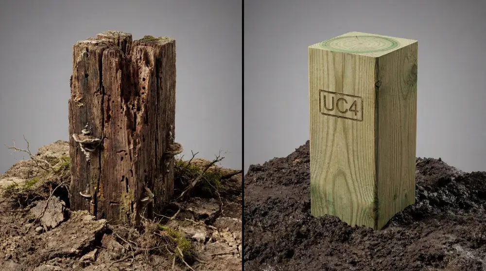 Effect on Treated and Untreated Timber